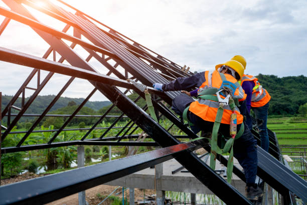 Best Storm Damage Roof Repair  in Meridianville, AL