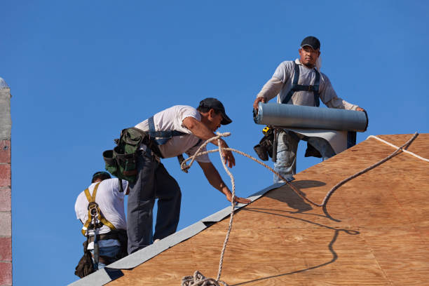 Best Sealant for Roof  in Meridianville, AL