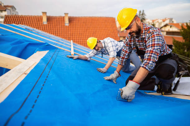 Best Roof Gutter Cleaning  in Meridianville, AL