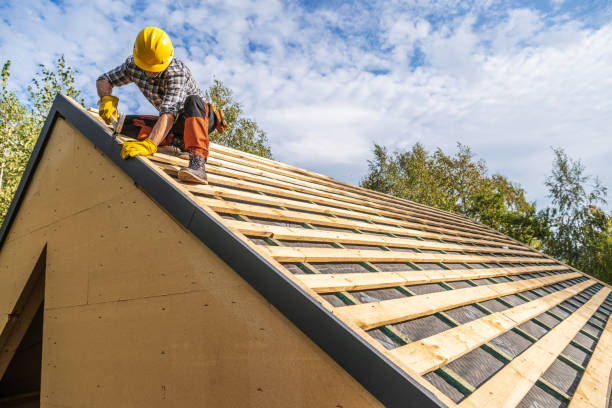 Best Roof Waterproofing Services  in Meridianville, AL